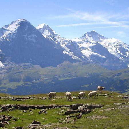 Beim See Grindelwald Eksteriør billede