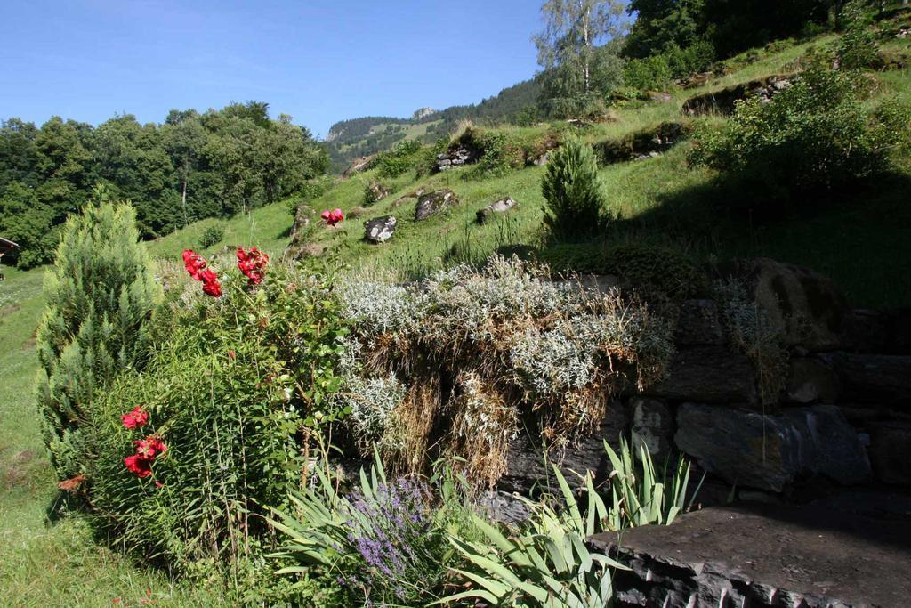 Beim See Grindelwald Eksteriør billede